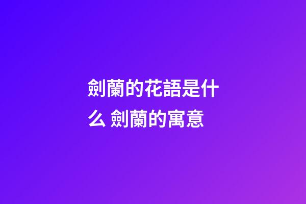 劍蘭的花語是什么 劍蘭的寓意